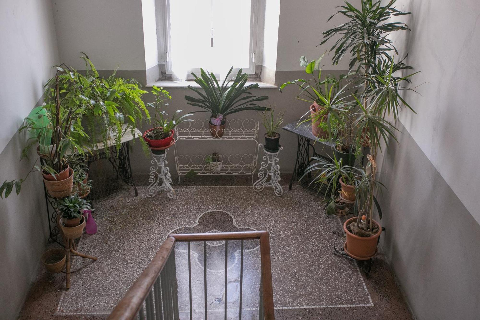 La Finestra Sul Mare B&B Ливорно Екстериор снимка